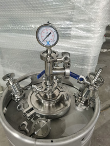 Barril de cerveza de 100L para secado Hop, barril de cerveza para sumar fruta, fermentación de la yema - Product Image 6