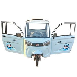 1000W Motor Closed 3-Wheel Electric Passenger <strong>Trike</strong> 300-400kg Payload 30-35km/h Speed for Last-Mile Delivery Mobile Food - Product Image 1