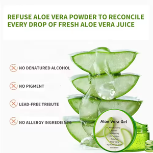 Hàn Quốc 100% tinh khiết <span class=keywords><strong>Aloe</strong></span> <span class=keywords><strong>Vera</strong></span> Gel da hữu cơ dưỡng ẩm nhẹ nhàng <span class=keywords><strong>Aloe</strong></span> <span class=keywords><strong>Vera</strong></span> Gel cho khuôn mặt - Product Image 6