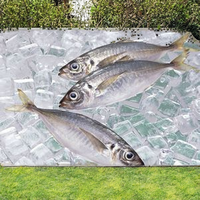 Machine à glace en blocs entièrement automatique de 5 tonnes à usage commercial, refroidie par air, équipée d'un moteur central, compatible OEM, pour glace et neige.