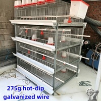 Cage d'élevage de type H anti-corrosion, fil galvanisé à chaud 275g, 48-160 poussins, 3/4 niveaux
