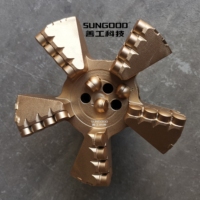 Usine 7 pouces 177mm 5 lames Concave PDC Bits PDC Drag Bit PDC Blade Bit pour le forage de puits