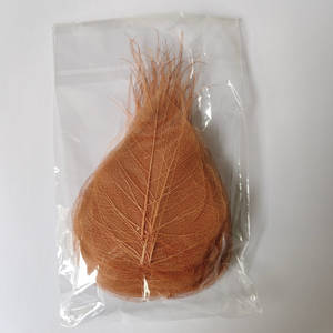 Daun Linden kering dengan pembuluh bunga dan daun untuk bookmark atau kerajinan tangan 100 buah per tas untuk dekorasi rumah atau pernikahan - Product Image 3