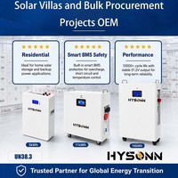 Batterie de stockage d'énergie résidentielle Hysonn LFP 51,2 V, conception en armoire murale pour villas solaires et projets d'approvisionnement en gros OEM