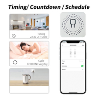 Interruptor Inteligente Mini SIXWGH, Módulo de Relé para Mejoras del Hogar, Control por Voz Siri, 16A, 240V, Compatible con UK/US/EU, Cozylife WIFI