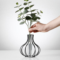 Conteneur minimaliste nordique pour plantes hydroponiques, terrarium, vase en métal et en verre pour la décoration de la maison