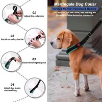 Collier d'entraînement pour chien en nylon robuste, respirant et confortable, à libération rapide, réglable, anti-traction, réfléchissant et personnalisable – Meilleures ventes