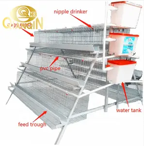 QIANQIN Most Popular Modern Design Uganda Poultry Chicken Farm 1000 2000 4000 Birds Hen Laying Egg Layer Chicken Cages