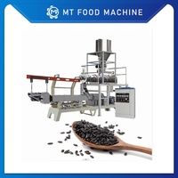 Ligne de traitement automatique du riz nutritionnel avec mélangeur et friteuse, capacité de 300-500 kg/h, équipement de riz en acier inoxydable de qualité alimentaire