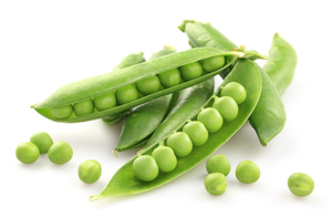 妊娠中の女性のための100% 有機植物ベースのビーガンチョコレートフレーバーエンドウ豆タンパク質単離粉末食品グレード - Product Image 5