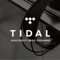 Abonnement Premium Tidal Music 12 mois, comptes Tidal, abonnement Tidal Hifi Plus 1 an