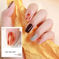 9 couleurs translucide effet gelée cristal écaille de tortue UV Gel vernis Ambrgel vernis à ongles