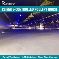 Ligne d'alimentation automatique en plastique PP pour volailles, conception avancée, équipement d'élevage de poulets de chair en élevage plat, marque RAISETECH