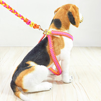Ensemble collier et laisse pour chien tressé à la main avec fleurs, collier pour animal de compagnie en paracorde coloré avec boucle à dégagement rapide et anneau en D, laisse décorative pour chien