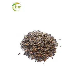 Wholesale Price Burdock Root Extract 40% Burdock Extract Powder