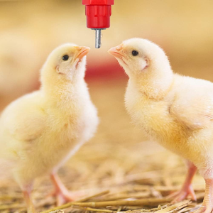 RS-145 thép không gỉ động vật Thỏ núm vú uống gà núm vú uống gia cầm núm vú <span class=keywords><strong>waterer</strong></span> - Product Image 5