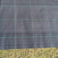 Mat Anti Gulma Anyaman PP Ukuran Kustom Grosir Cina 90GSM--120GSM Penutup Tanah Berkebun Mat Anti Gulma Lanskap