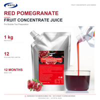 Jus Konsentrat Puree 1kgx12 Kantong Karton 10 Rasa Gudang Lokal AS MY RU Pengiriman Cepat