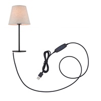 Variateur de couleur Led 5V, cordon de charge correspondant, interrupteur en ligne, câble d'alimentation USB mâle