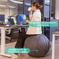 Chaise ballon d'équilibre pour le bureau et la maison, ballon ergonomique d'exercice, soulagement des douleurs dorsales, ballon de yoga, housse en lin lavable