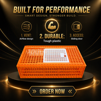 Nouvelles caisses de transport pour poulets en plastique orange de type H, grandes dimensions 96x56x27cm, pour usage agricole, longue durée de vie, garantie de 3 mois, pour animaux vivants