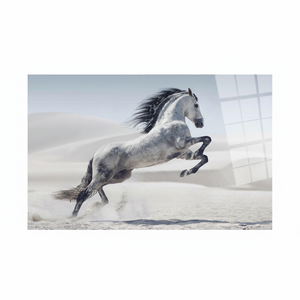 Elegante cuadro en lienzo con estampado de gallo del desierto - Decoración minimalista con animales, arte en vidrio templado - Product Image 2