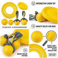 Kit de jouets pour chien en EVA de formes variées avec logo personnalisé, jouets à mâcher pour animaux de compagnie pour les cours de dressage, l'obéissance et les exercices de rapport