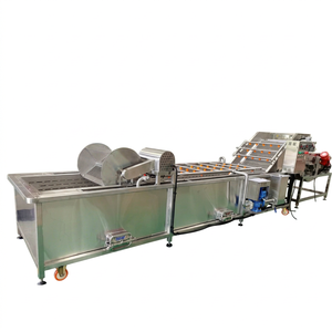 Conveyor Wash Pine Apple Washing Washer Machine Wild Vegetable Fruit Washing Machine High Pressure Spray - Product Image 1