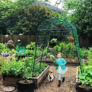 <span class=keywords><strong>Treillis</strong></span> de jardin en acier inoxydable décoratif de style nouveau avec un grand tunnel en forme d'arche <span class=keywords><strong>pour</strong></span> les plantes <span class=keywords><strong>grimpantes</strong></span> et les <span class=keywords><strong>fleurs</strong></span> en extérieur - Product Image 4