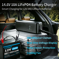 Chargeur de batterie LiFePO4 14,6 V 10 A avec pinces crocodiles, adaptateur d'alimentation CC pour batteries au lithium-fer-phosphate 12 V