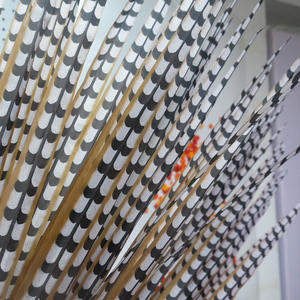 <span class=keywords><strong>Venta</strong></span> Económica <span class=keywords><strong>de</strong></span> Plumas <span class=keywords><strong>de</strong></span> Faisán Artificiales Largas <span class=keywords><strong>de</strong></span> Cola <span class=keywords><strong>de</strong></span> Faisán Reeves para Disfraces <span class=keywords><strong>de</strong></span> Danza y Decoración <span class=keywords><strong>de</strong></span> Carnaval - Product Image 4