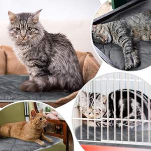 Venta al por mayor suave cachorro cajón Pad antideslizante perrera Mat manta para interior mascotas gatos invierno extraíble autocalentamiento perro cama Mat - Product Image 6