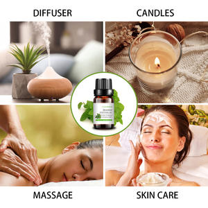 Werkspreis Schlussverkauf weitverbreitet 100 % reines und natürliches Spearmint Ätherisches Öl für Großkauf - Product Image 3