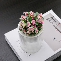 Ruipu Nieuwe Verdikte Pp Materiaal Indoor Witte Spiraal Pot De Fleur Exterieur Ontwerp Zelf-Absorberende Bloempot