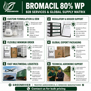 Pesticida Professionale Bromacil 80% WP, Erbicida Sistematico ad Assorbimento Radicale, Polvere Idrabile <span class=keywords><strong>per</strong></span> Eliminare <span class=keywords><strong>Erbacce</strong></span> a Foglia Larga - Product Image 6