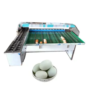 Máy phân loại trứng 3 hàng và máy phân loại trứng thương mại máy phân loại trứng công nghệ mới