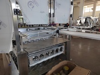 Fabricant de machines automatiques de remplissage et de scellage de gobelets en plastique PET pour glaçons à 4 voies