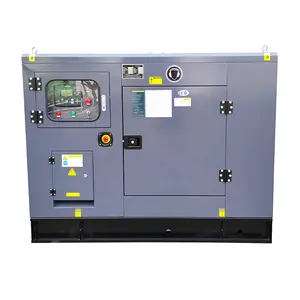 CE & ISO certified Silent 20kw lpg gas generator