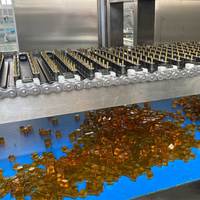 Divers modèles de moule à bonbons en silicone utilisés pour la fabrication de gommes Machine