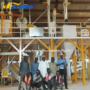 Moulin à maïs et à farine de maïs 30T à moteur en cuivre pur, haute efficacité, pour la production de semoule, de farine de maïs et d'<span class=keywords><strong>ugali</strong></span> - Product Image 2