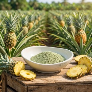 Agrinorm <span class=keywords><strong>Engrais</strong></span> organique agricole personnalisé,  aminé à libération rapide 40% poudre Cl, source végétale, <span class=keywords><strong>engrais</strong></span> hydrolysé - Product Image 2