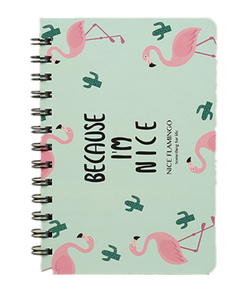 Petits cahiers à rouleaux à bon <span class=keywords><strong>prix</strong></span> A5 taille 200/300/400/500 pages ligne française cahier à couverture rigide cahier scolaire pour l'afrique - Product Image 1