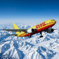 Logística Aérea, Costo de Envío DDP, Agente de Transporte de China a Estados Unidos, Polonia, Francia, Reino Unido, México, Australia, Emiratos Árabes Unidos