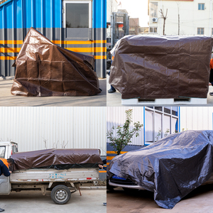 Bạt Nhựa <span class=keywords><strong>Pe</strong></span> Bạt Poly Với Tấm Vải Nhựa Bảo Vệ Tia <span class=keywords><strong>Uv</strong></span> Kích Thước Tiêu Chuẩn Cho Nông Nghiệp/Công Nghiệp - Product Image 6