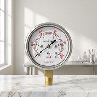 Radial Bottom Brass Thread Connection Pressure Gauge Corrosion Resistant Copper Joint Structure Capsule Micro Pressure Gauge