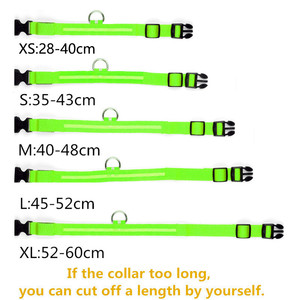 <span class=keywords><strong>Collar</strong></span> Electrónico LED para Perro, Ajustable, Recargable por USB C, <span class=keywords><strong>Collar</strong></span> Reflectante LED para Perro, Antipérdida Nocturna, Producto para Perros - Product Image 3