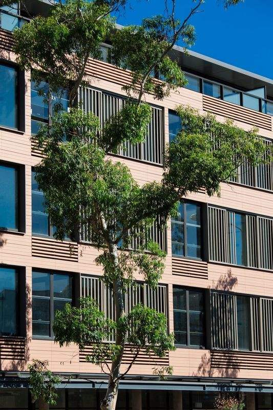 ตามที่แสดง