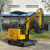 Livraison gratuite Petite pelleteuse compacte CE EPA Euro 5 pour la construction de jardins agricoles Mini pelleteuse Euro 5