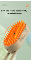 2025 Logo personnalisé chien chat électrique peigne à cheveux toilettage nettoyage Slicker pulvérisation brosse Massage portable chat vapeur brosse Silicone