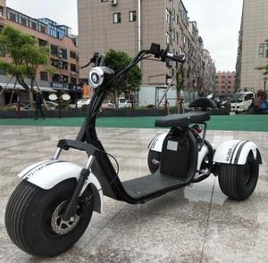 Scooter électrique à 3 roues longue portée 2000W 3000W, tricycle Citycoco Chopper certifié EEC COC, moto électrique 3 roues COC 3000w - Product Image 3